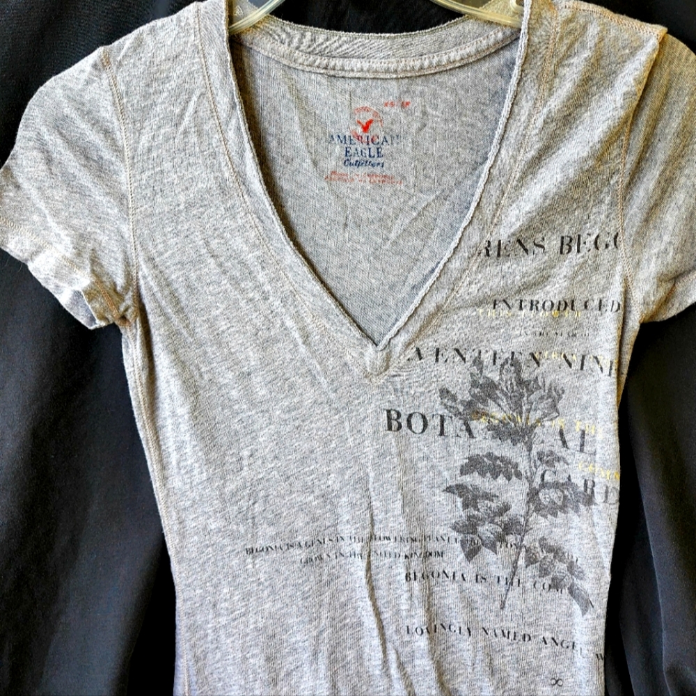 American Eagle Favorite V-neck graphic T